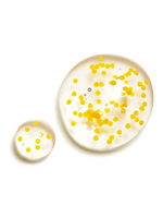 Immortelle Overnight Reset Oil-in-Serum