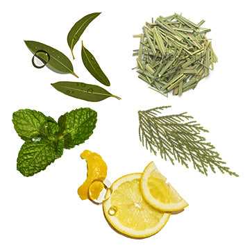 Anti-Dandruff Cocktail