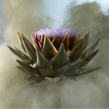 Artichoke Leaf Extract