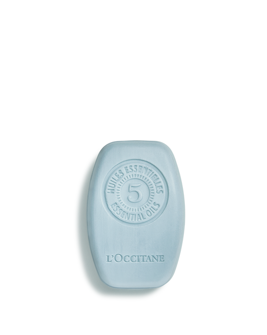 5 Essential Oils Purifying Refreshing Solid Shampoo