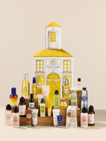 2025 HOLIDAY ADVENT CALENDAR DELUXE