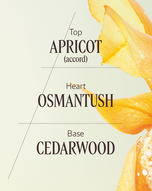 Osmanthus Abricot eau de toilette