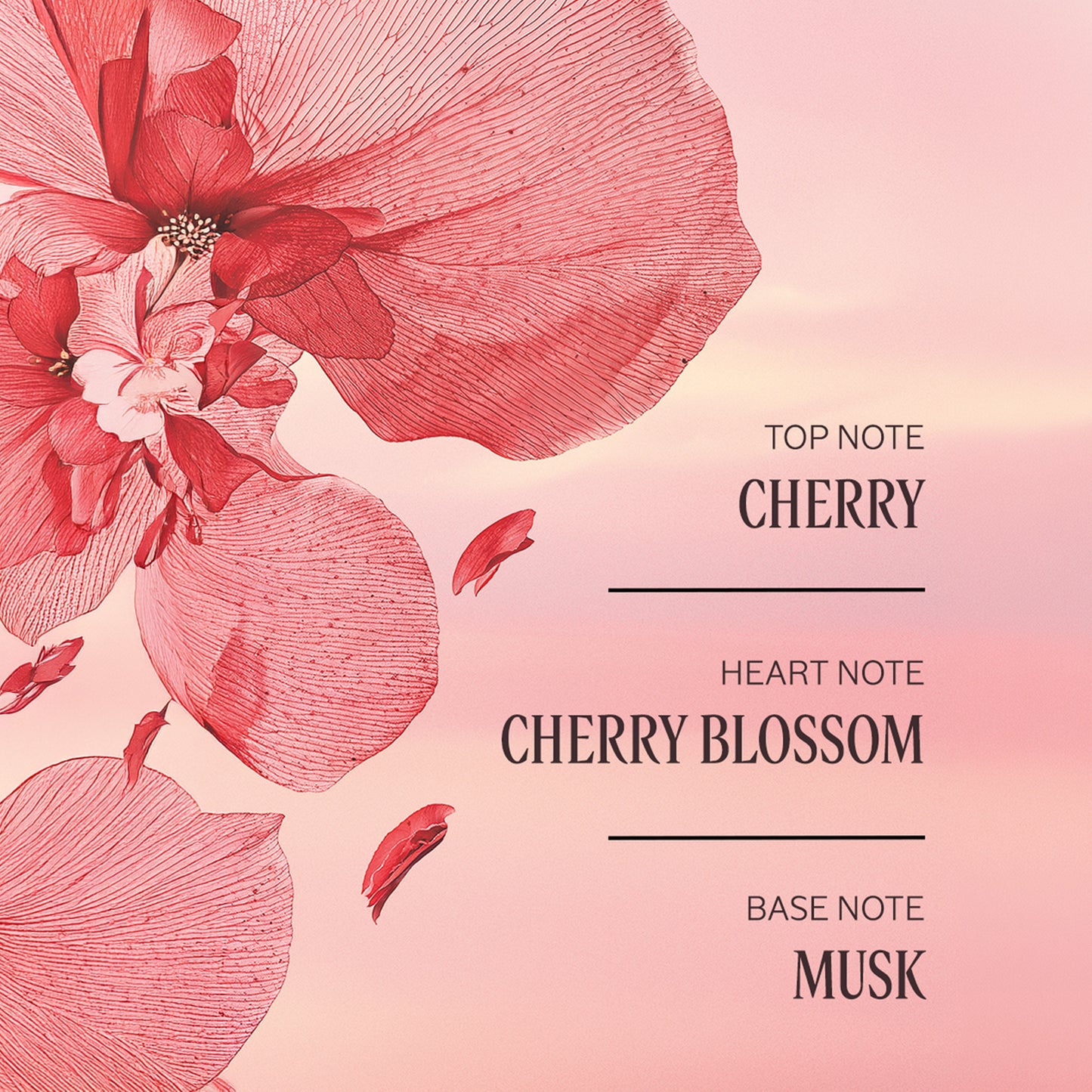 Cherry Blossom Set For Her - Illustration 2