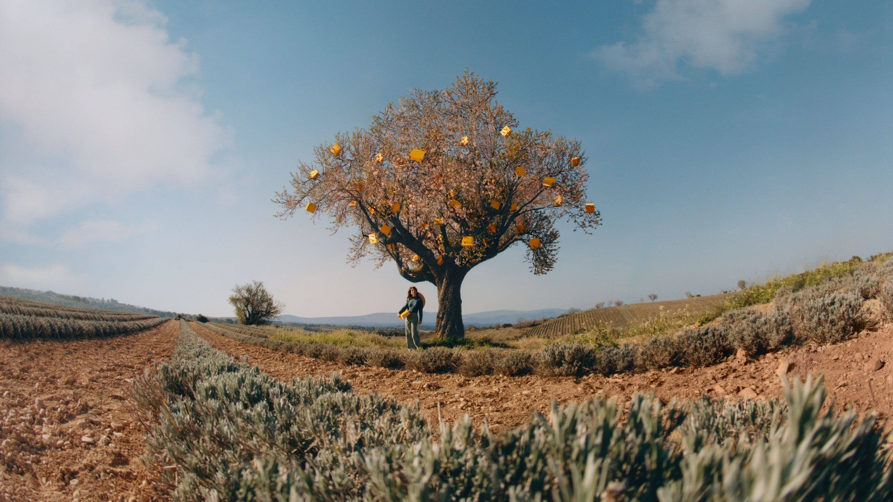 Image banner desktop