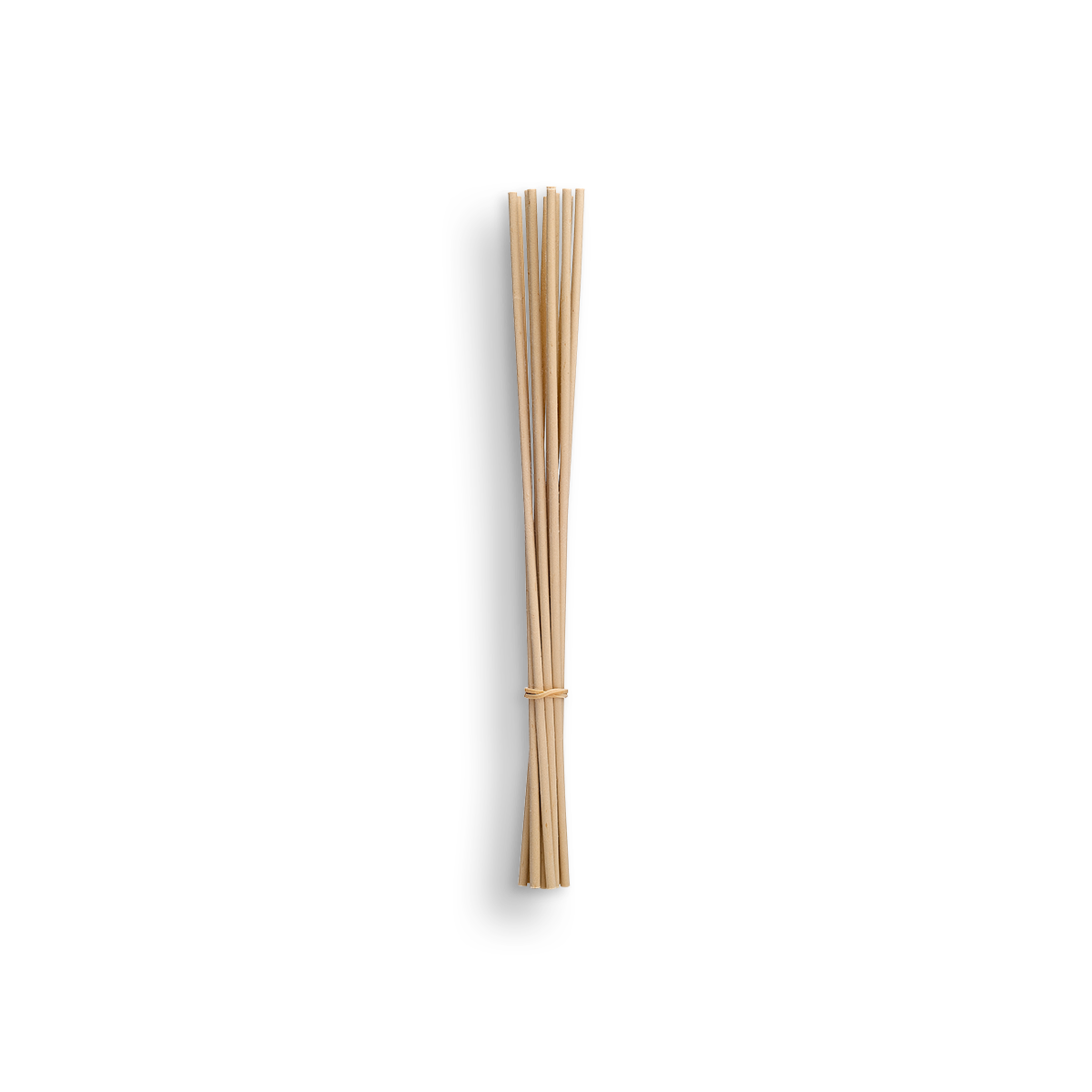 Diffuser Sticks